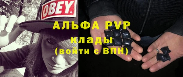 крисы Алексин